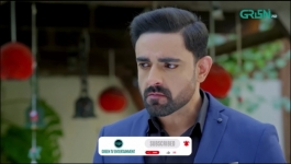 Ishq Tum Se Hua - Episode 25